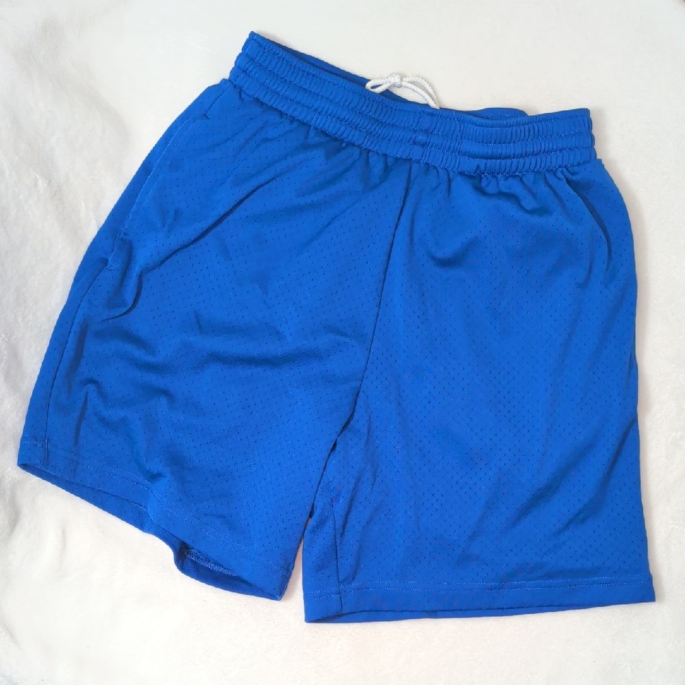 Men's Athletic Mesh Shorts - Royal Blue